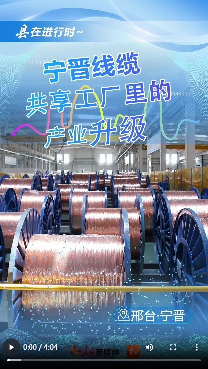 產(chǎn)業(yè)升級新篇章 寧晉線纜共享工廠的變革之路