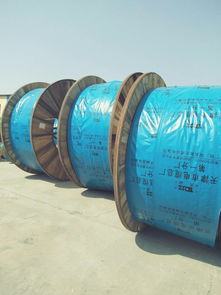 天聯電纜WDZ-KY系列產品 天津電纜產業與河北工廠的協同發展